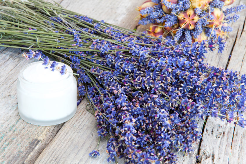 SHEA AND LAVENDER SCAR HEALING SALVE